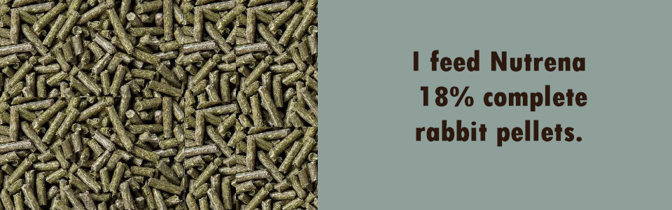 Nutrena 18% rabbit pellet